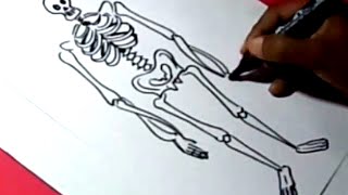 How to draw SKELETON DRAWING for kids step by step(How to draw SKELETON DRAWING for kids step by step., 2015-05-01T19:15:26.000Z)