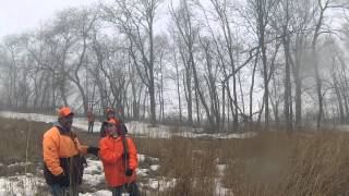 Magnolia game farm pheasant hunt March 10th 2015