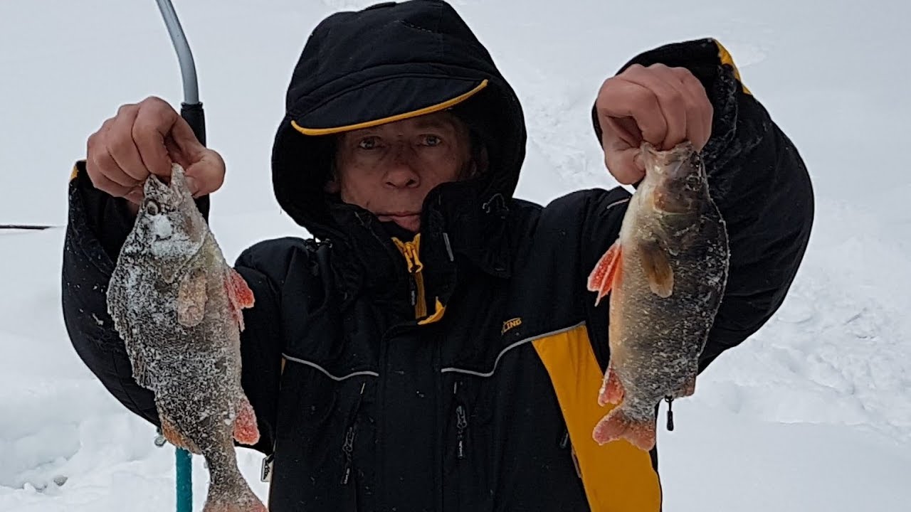 Ловлю 2019. Глухозимье. Ютуб рыбалка на севере. Зимняя рыбалка в Якутии фото. Когда начинается глухозимье для рыбалки.