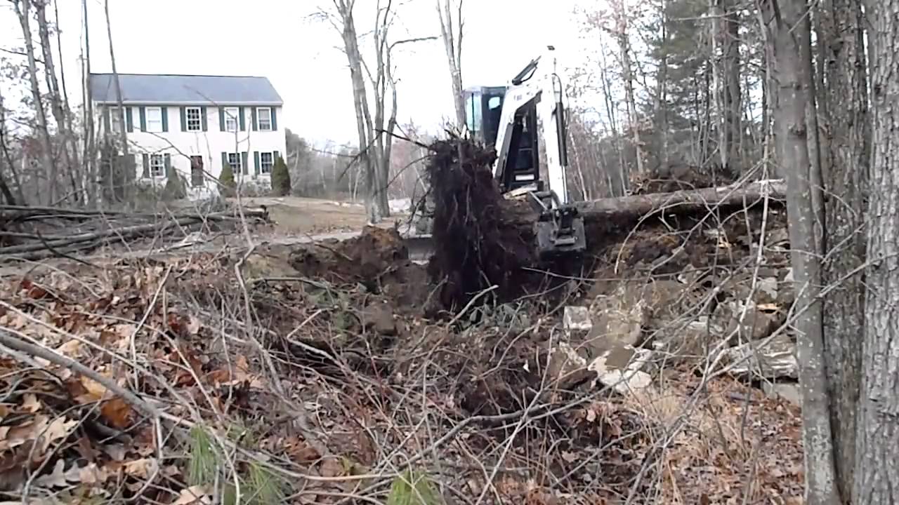 Bobcat E50 Taking Down 50' Oak Tree