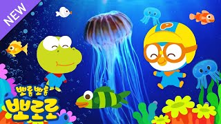 ✨NEW✨ 말랑~말랑 해파리 젤리를 찾아라! | 뽀로로와 바다동물 친구들 | 바닷 속 친구들을 만나 보아요! | 뽀로로 동물 동요 | 뽀로로와 노래해요 screenshot 5
