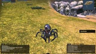 Dawntide, first run in with a spider!