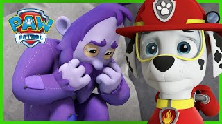 Marshall Saves a Humsquatch! | PAW Patrol Episode | Cartoons for Kids by PAW Patrol Official & Friends 53,890 views 2 weeks ago 1 minute, 56 seconds