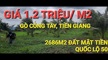 2686M2 ĐẤT MẶT TIỀN QUỐC LỘ 50 GIÁ CHỈ 1.2 TRIỆU/ M2_TIỀN GIANG _0334447430 KHOA BĐS