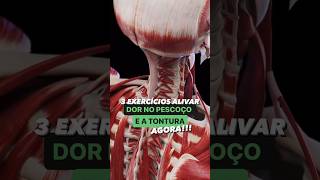 3 Exercícios Para Dor No Pescoço E A Tontura