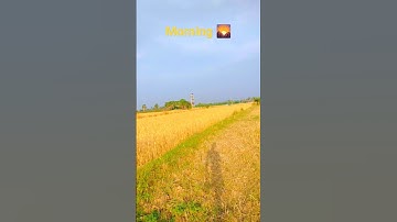 Morning Relaxing Nature View #videography #nature #reels #status