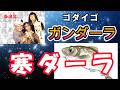 【ガンダーラ】替え歌【寒ダーラ】山形県庄内地方の冬の味覚『寒だら汁』山形を訪れて是非ご賞味下さい。＃ゴダイゴ　＃西遊記　＃替え歌