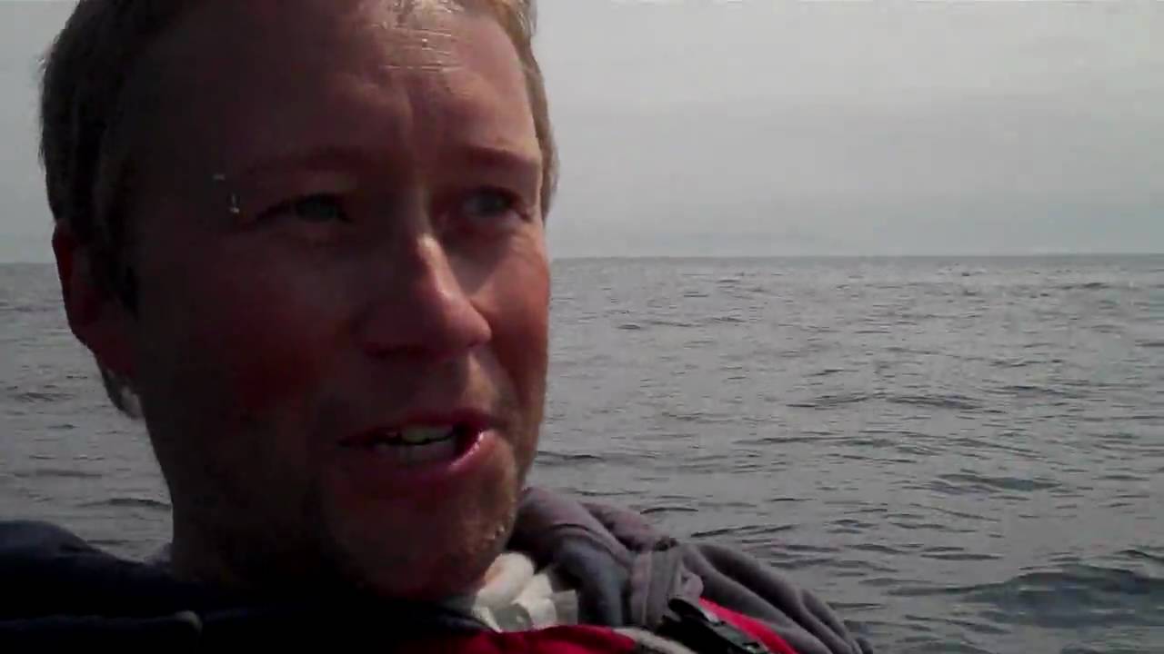 ( Orca ) Killer Whales swim under our kayaks