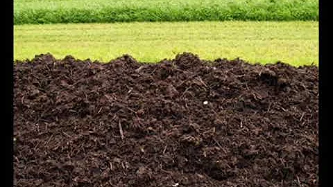 What does it mean to see fertilizer in a dream? #rüyatabirleri #dreaminterpretations #Rüyatabirleri