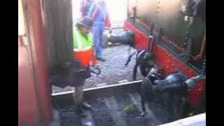 SiF - Workman Crushed By Train