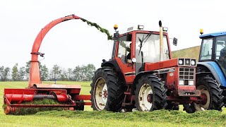 Case IH 1056 XL in the field chopping grass w/ Kverneland TA 622 Forage Harvester | Silage Day