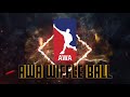 Cyclones vs. Stingers | AWA Wiffle Ball 2021