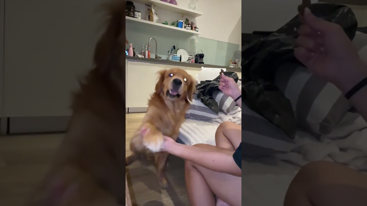 Le gâteaux ou maman ? 😭