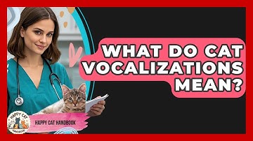 What Do Cat Vocalizations Mean? - Happy Cat Handbook