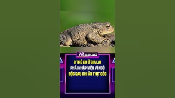 9 trẻ em ở Gia Lai phải nhập viện vì ngộ độc sau khi ăn thịt cóc