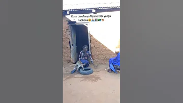 ROSE MHANDO NIBEBE VIBE 