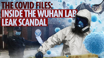 Inside the Wuhan lab-leak scandal - bioweapons, cover-ups & the Covid 
