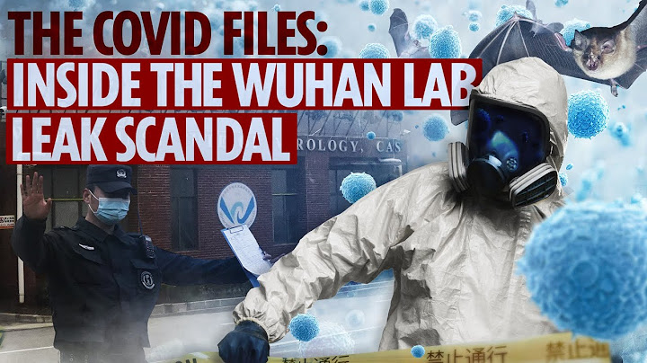 Inside the Wuhan lab-leak scandal - bioweapons, cover-ups & the Covid 'smoking gun'... | Documentary