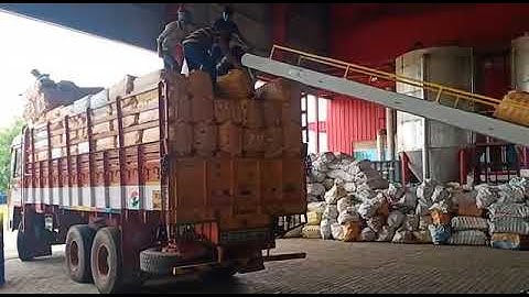 Bag Loading Conveyor
