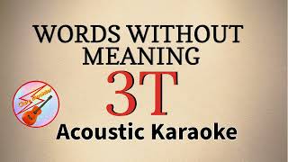 Words Without Meaning | 3T | Acoustic Karaoke