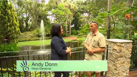 The Garden Gurus - Rare and Exotic Plants of Wanneroo Botanic Gardens