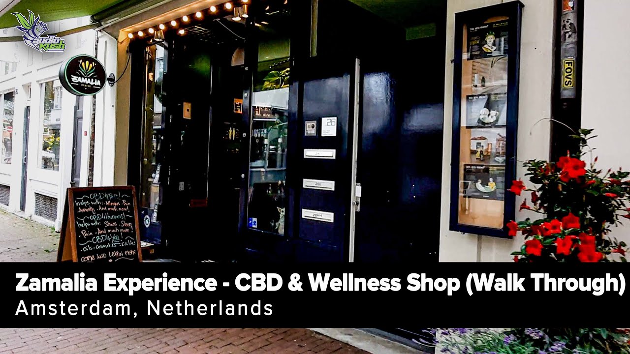 Zamalia Experience - Amsterdam CBD Shop (Walkthrough)