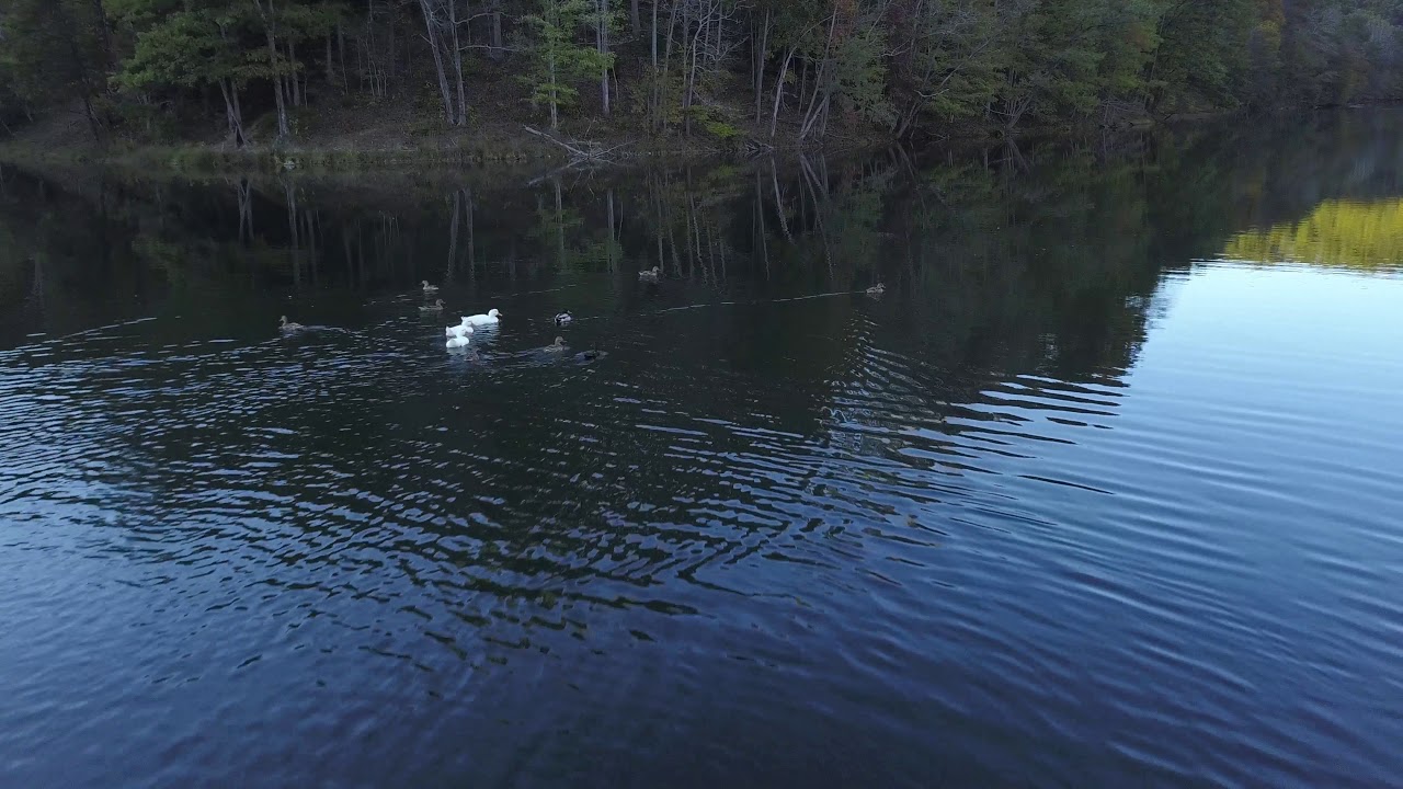 Fish Pond Lake, Letcher County KY YouTube