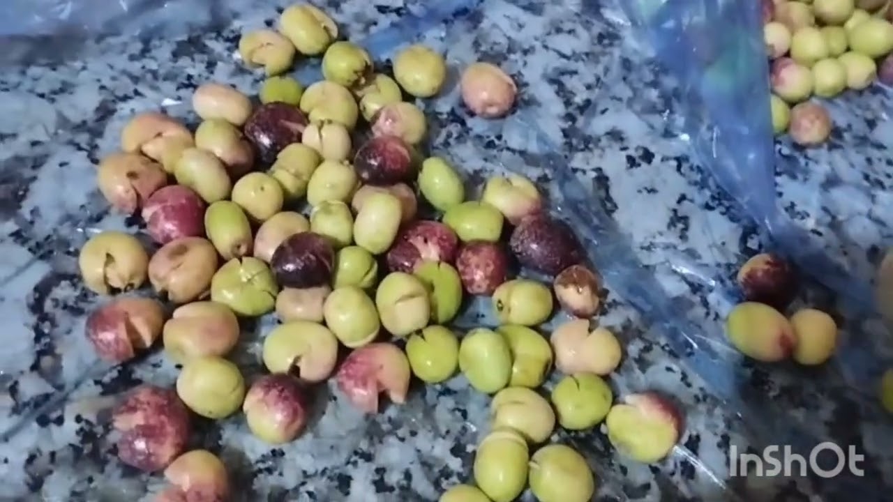 الزيتون مطيب