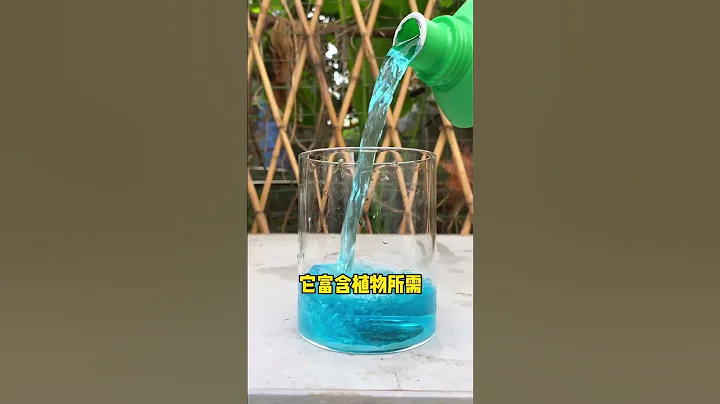 夏天 # 文竹 怎麼 養護 才能 枝繁葉茂 呢 # 養花 小 知識 # 營養 液 液#shorts - 天天要聞