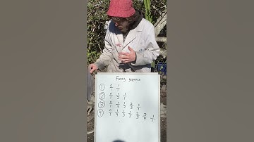 This Sequence Looks Like the Prime Numbers, But is Really Something Else... #shorts