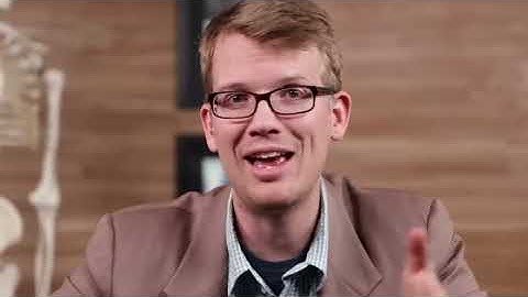 Reproductive System, Part 4 - Pregnancy & Development: Crash Course Anatomy & Physiology #43