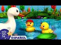 Canciones Infantiles | Cinco Patitos | Little Baby Bum en Español