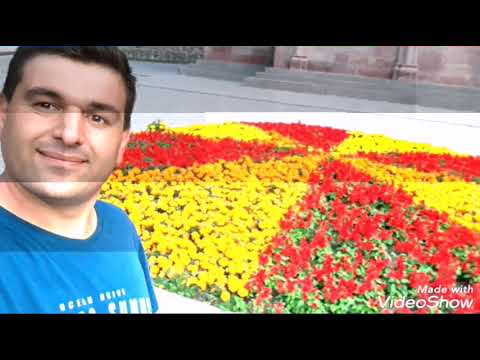 პოზიტივის ალბომი