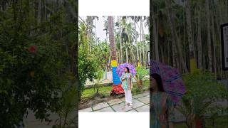 Natural Beauty Of Havelock Island | #shorts #andaman #havelock