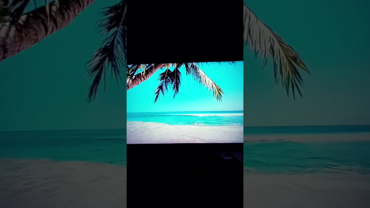 I really seriously wish I was there sometimes 