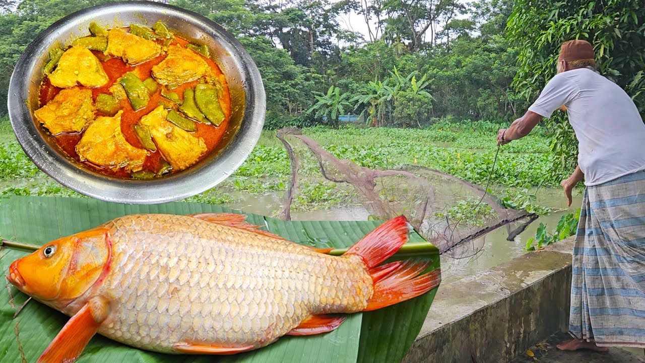 ভেইদা আর লাল মাছ দিয়ে উসসি রান্না | BSL Daily Life