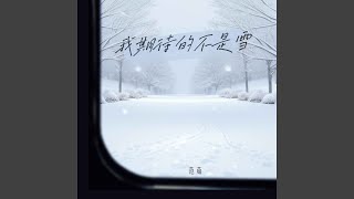 我期待的不是雪