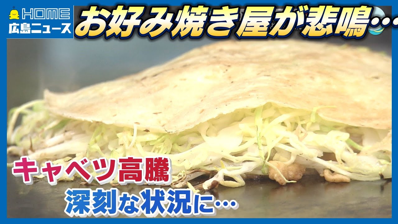 1玉800円…お好み焼きは1枚900円…止まらないキャベツ高騰「けちってキャベツの量を減らすのは考えられない」