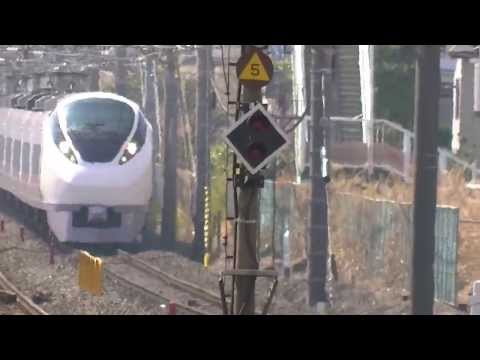 スーパーひたち19号　柏駅