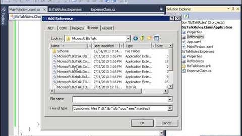 BizTalk - Calling Business Rules from a .NET Application