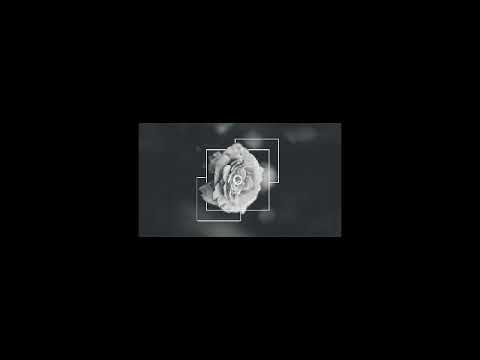 Breed-Diamonds Are Forever