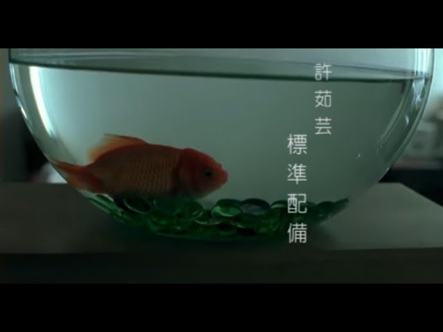 標準配備 - Standard Equipment