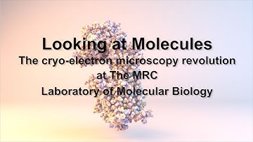 Looking at Molecules: The electron cryo-microscopy revolution at the MRC LMB