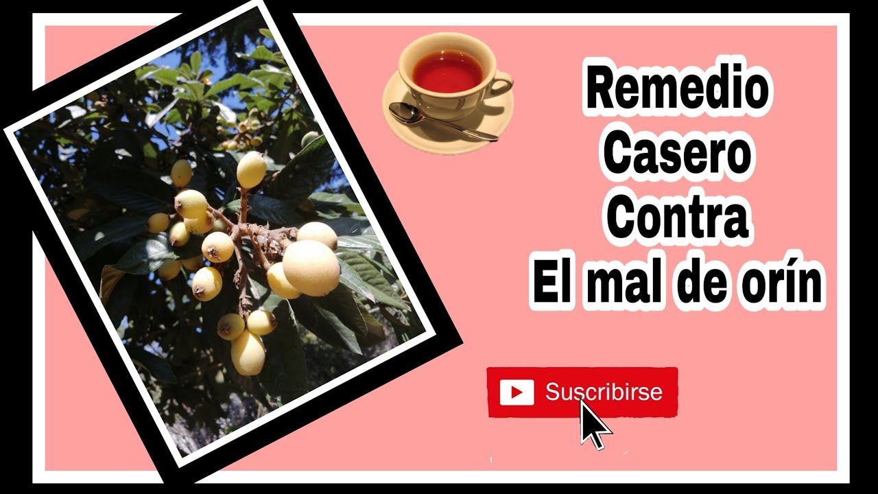 REMEDIO NATURAL CONTRA EL MAL DE ORÍN YouTube