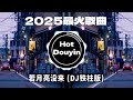 Top Chinese Songs Remix Of 2025 