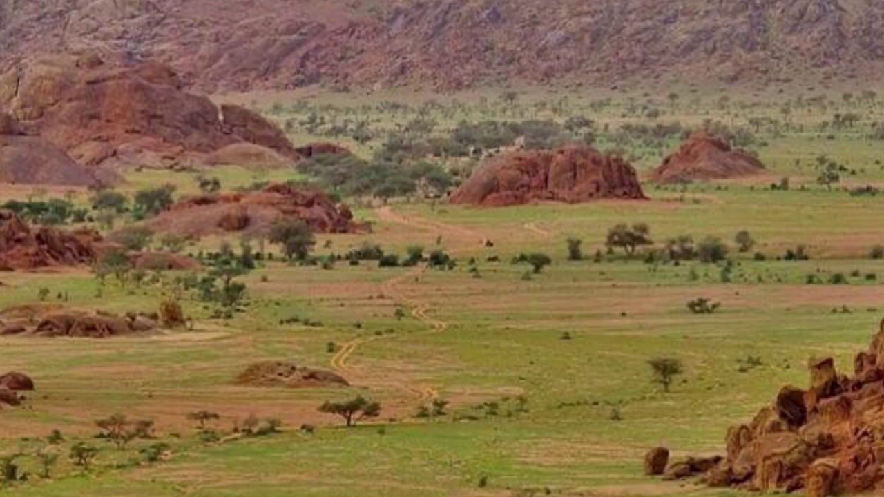 قصيدة سويد بن أبي كاهل اليشكري: بسطت رابعة الحبل لنا