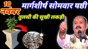10 नवंबर मार्गशीर्ष सोमवार षष्ठी तिथि को तुलसी की सूखी लकड़ी वाला उपाय जरुर करे || Pradeep Ji Mishra
