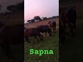 #shortvideo #ddd