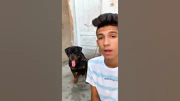 شتمت بوتشر بالغلط 