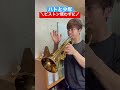トランペットのピストン押さずに『ハトと少年』吹いてみた!